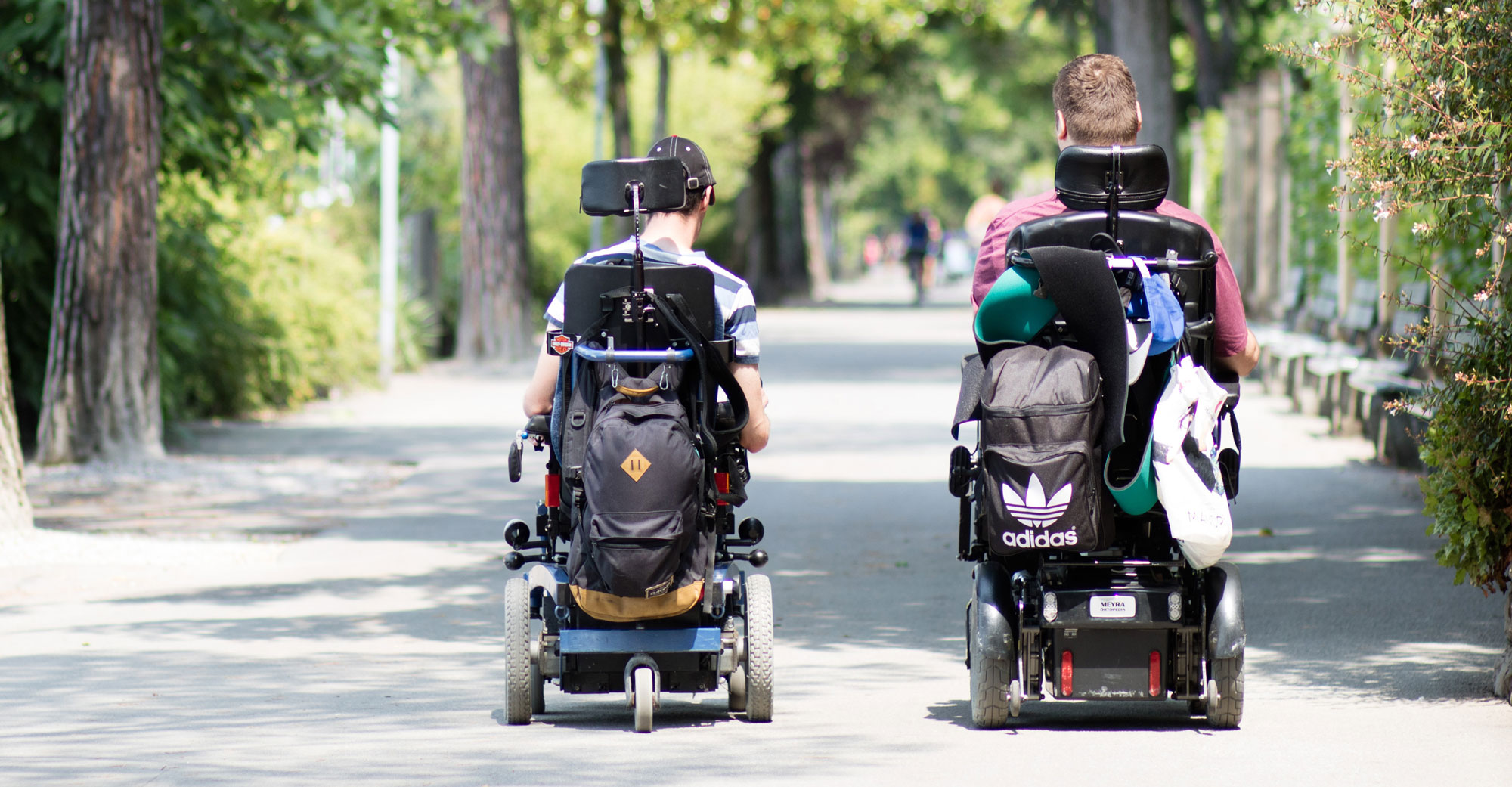 Menschen fahren im Rollstuhl eine Allee entlang.